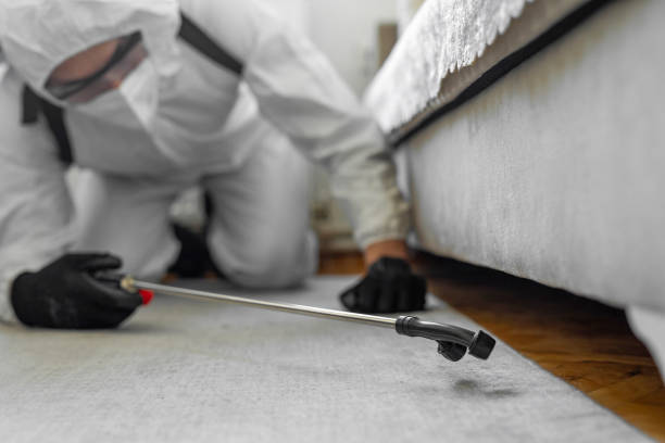 Professional Pest Control technician working in Watertown Town, MA